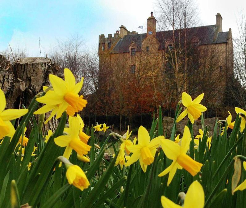 Airth House | The Manor at Plane Castle