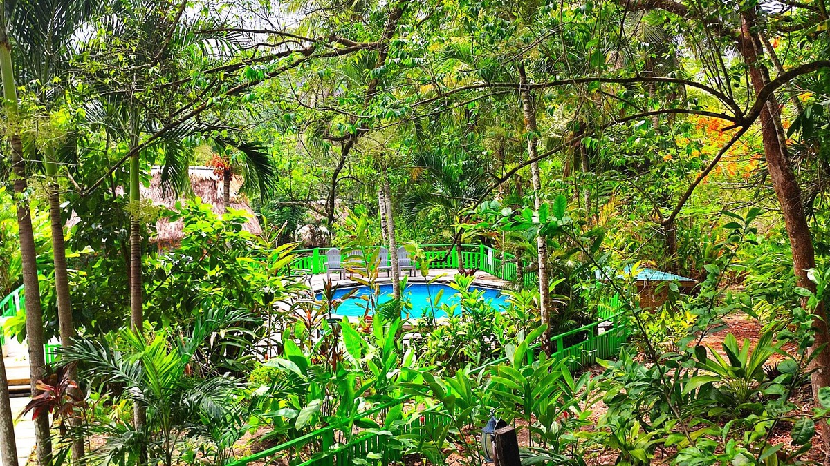 San Ignacio Cabin | The Maya Mountain Lodge