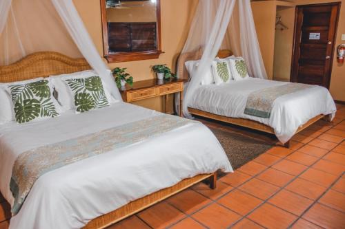 Orange Walk Bed & Breakfast | The Mayan Garden