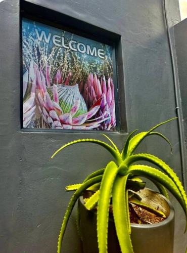 Howick House | The Midlands Protea