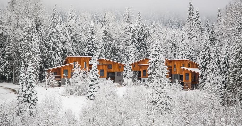Rossland Ski Chalet | The Mountain Project #2