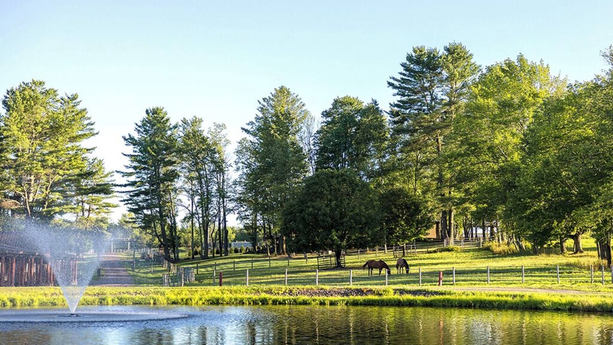 White Lake Resort | The Museum Suite @ Driftwood Ranch - a Horse and Cattle Ranch - White Lake, NY