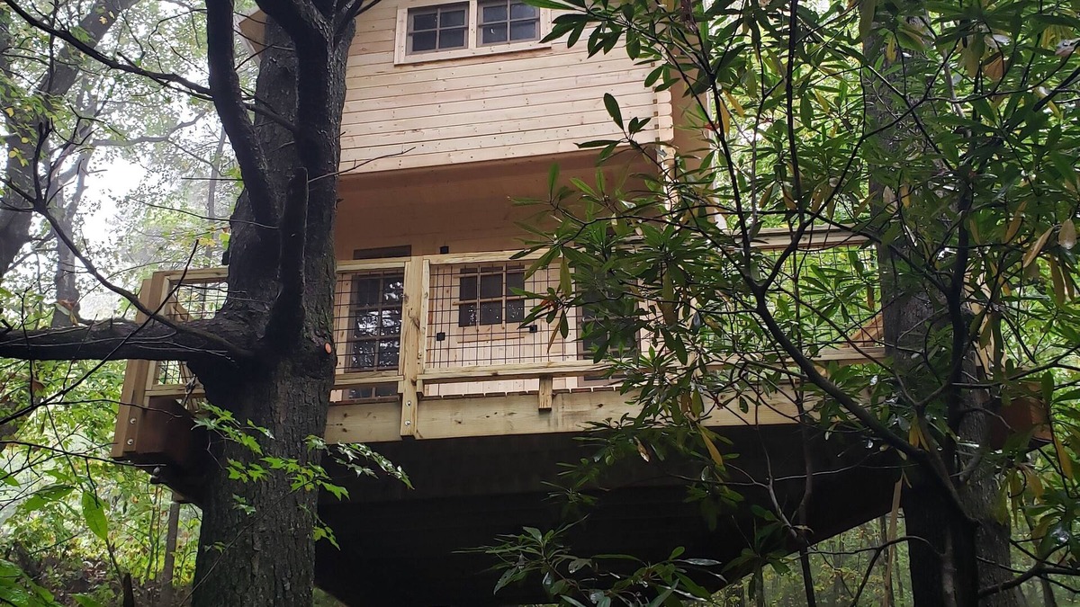 Zirconia Apartment | The Music Box Treehouse