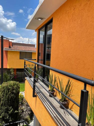 Metepec Apartment | The Nest