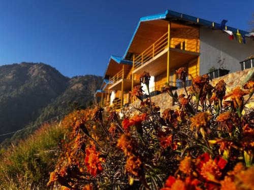 Sigri Village Resort | The Nirvana Stays