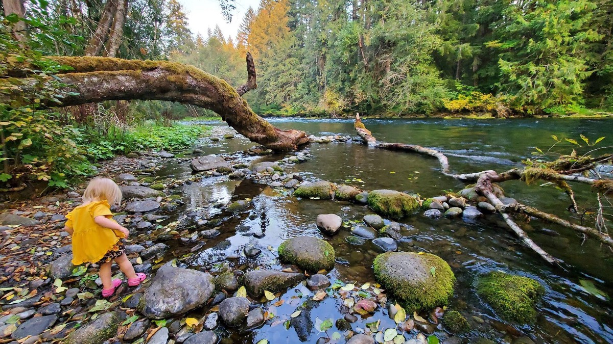 McKenzie Bridge Cottage | The North Bank Cabin,100ft private McKenzie Riverfront, Grill, 20min to Falls