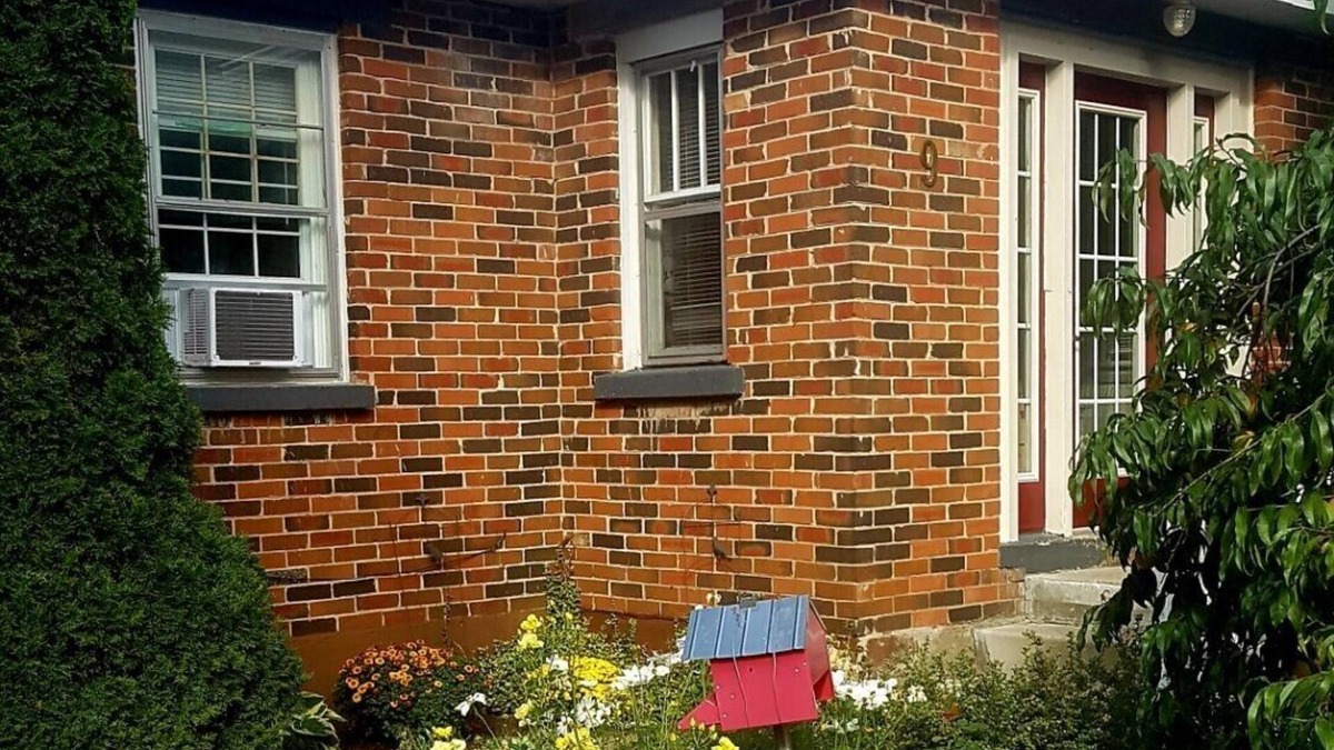 Nottawa House | The Nottawa Gem. 15 Min to Blue Mtn, 30 Min to Barrie. 2 Bedroom, 1 Bathroom.