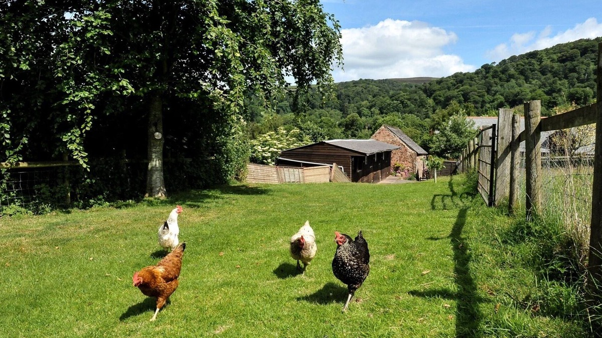 Crowcombe House | The Old Bakery (Sleeps 4. 2 Bedrooms)