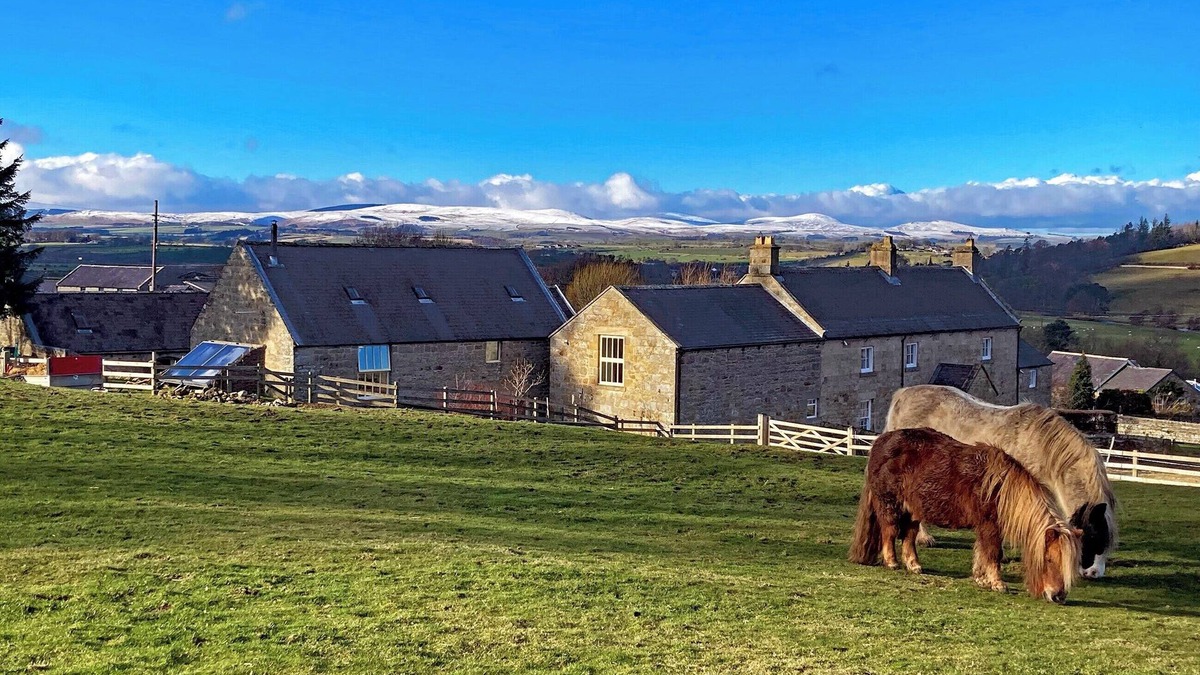 Old Bewick Cottage | The Old Mill - 28218
