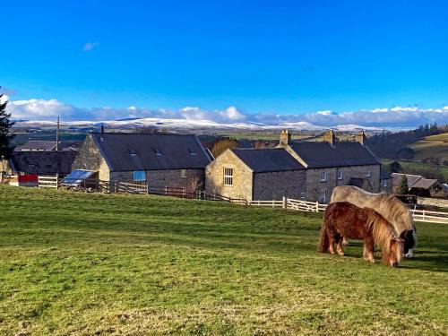 Old Bewick House | The Old Mill - 28218