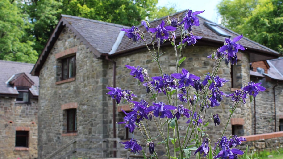 Whitland Cottage | The Old Mill. Surrounded by over 450 acres of Organic farm