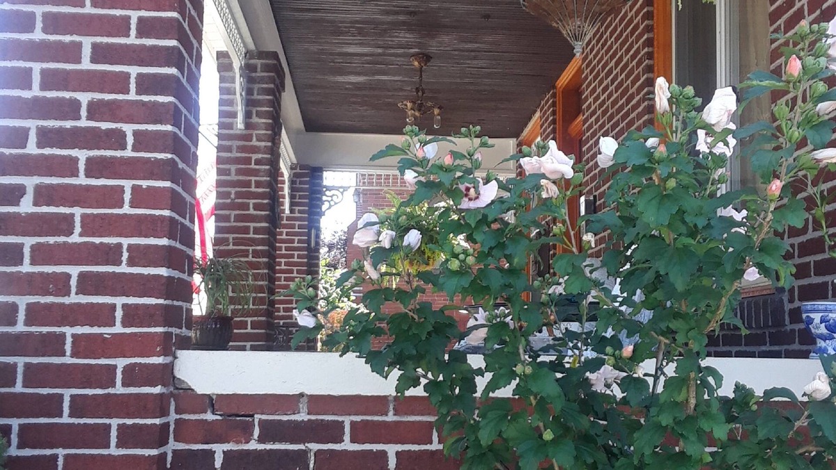 Leechburg Bed & Breakfast | The Old Parsonage B&B