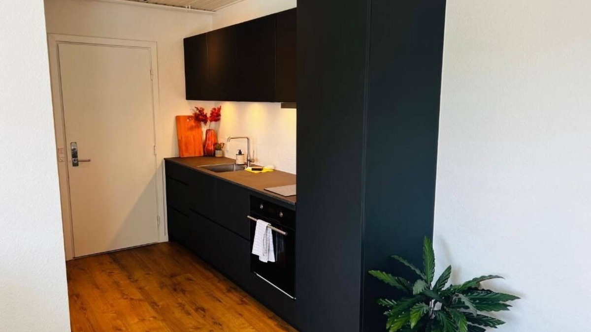 Silkeborg Apartment | The Old Silkeborg Hotel 1 TH