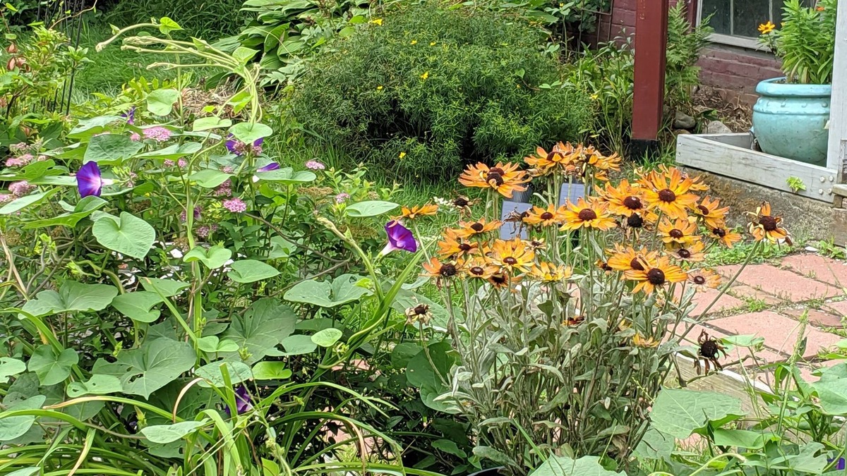 Brattleboro Bed & Breakfast | The One Cat B&B