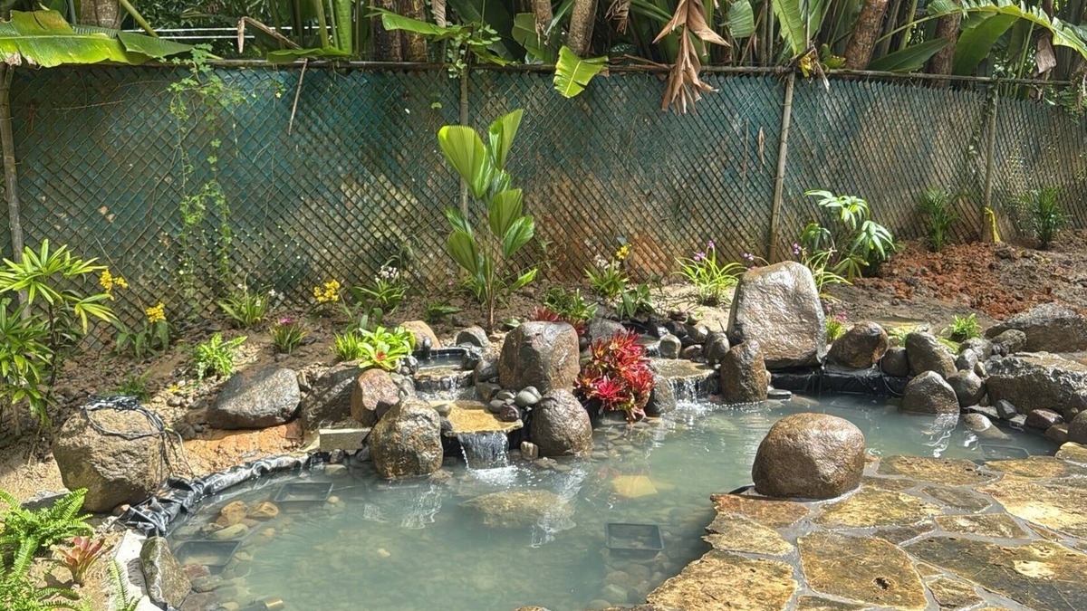 Rio Piedras Bed & Breakfast | The ONLY glamping site in the New Millennium Forest in San Juan, PR