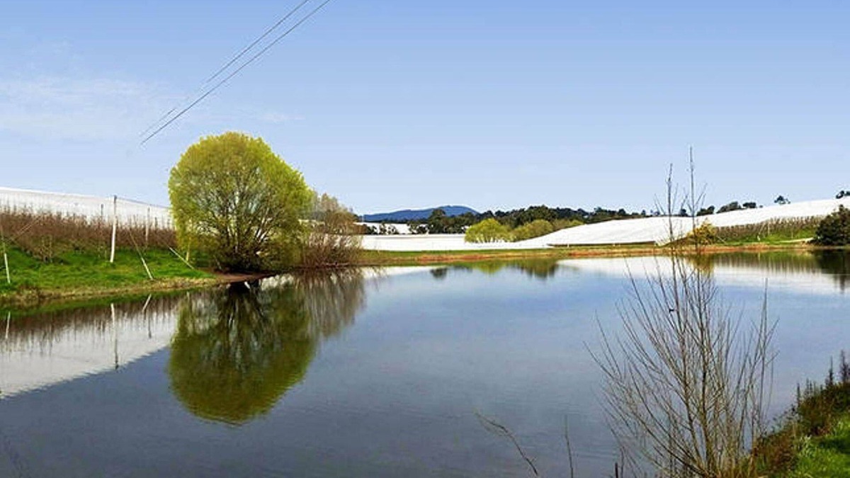 Gruyere House | The Orchard House - A quiet country getaway.
