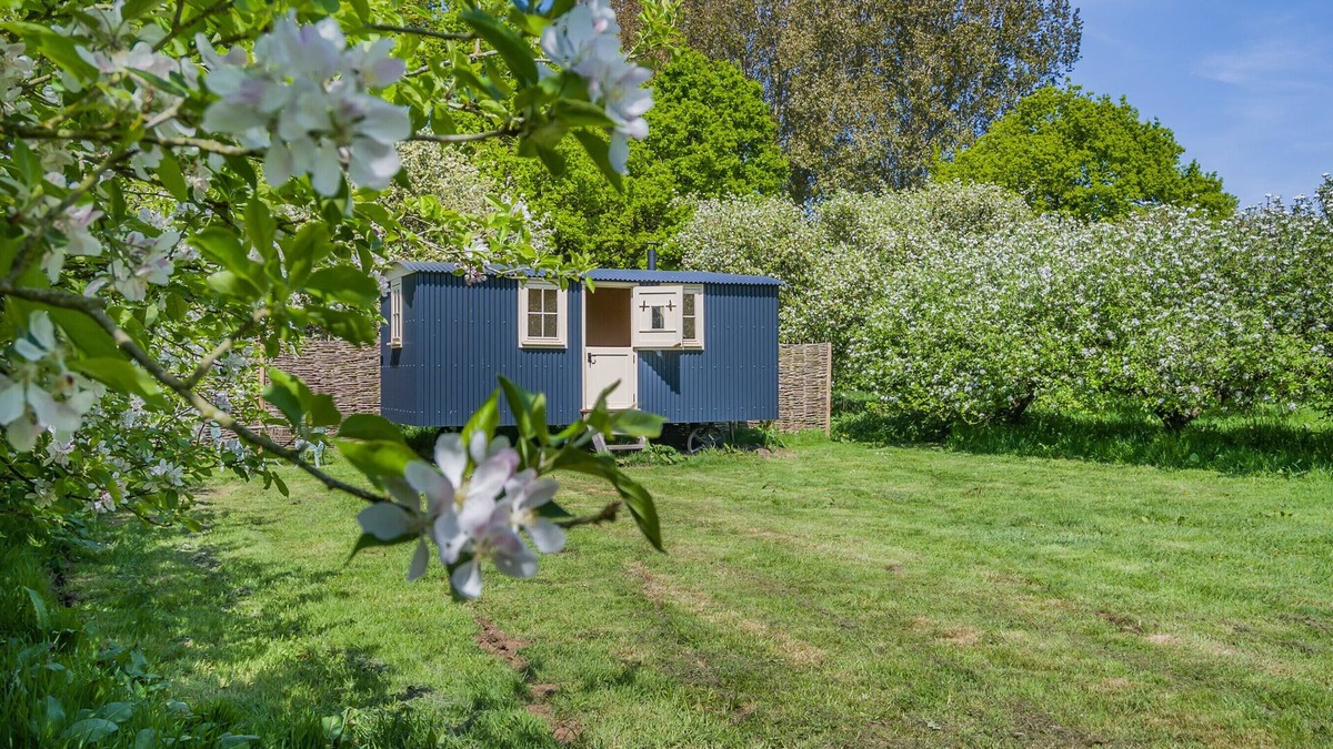 Deepdale House | The Orchard Hut - One Bedroom House, Sleeps 2