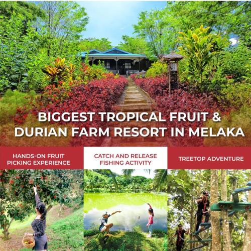 Brisu Resort | The Orchard Resort & Spa Melaka I World Spa Awards Winner I Free Access to Outdoor Spa Pool