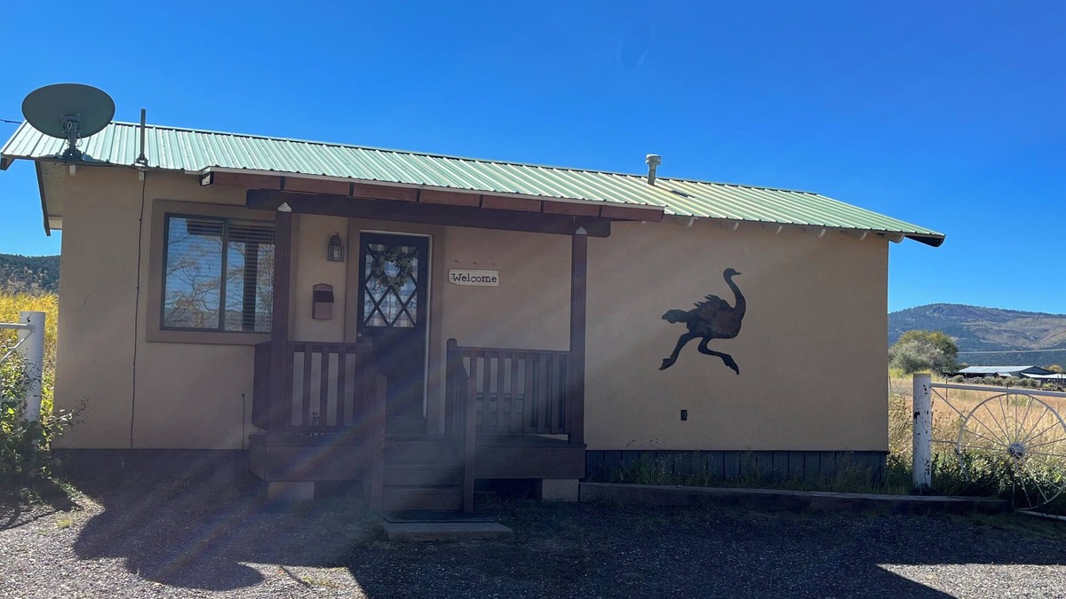 Springerville Cottage | The Ostrich House! Cozy, comfortable and private.