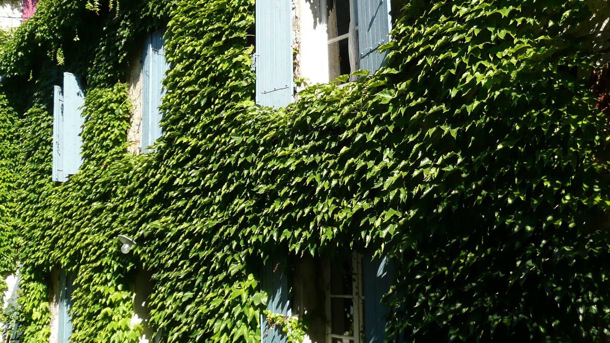 Saint-Didier House | The other side of the washhouse in Saint Didier