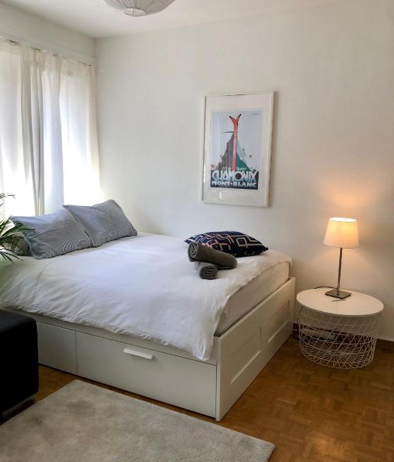 Downtown Geneva Apartment | The Paquis Oasis in Central Geneva