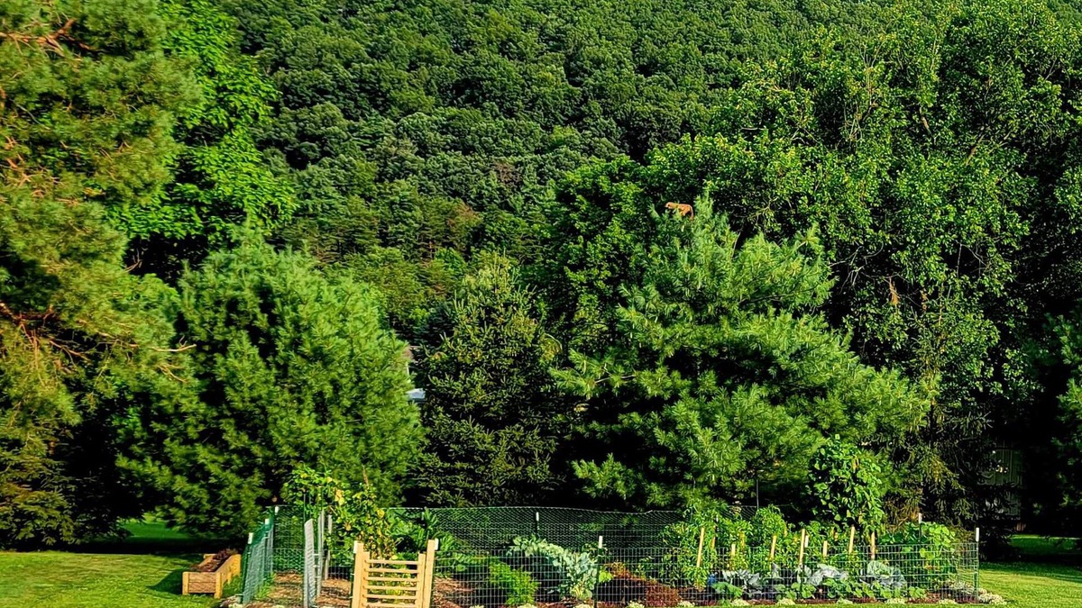 Huntingdon Bed & Breakfast | The Pause Bed & Breakfast