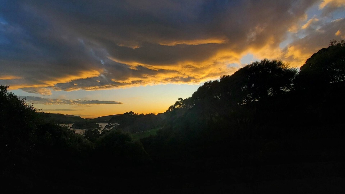 Dunedin House | The Perch is the ideal base to explore the stunning Otago Peninsula