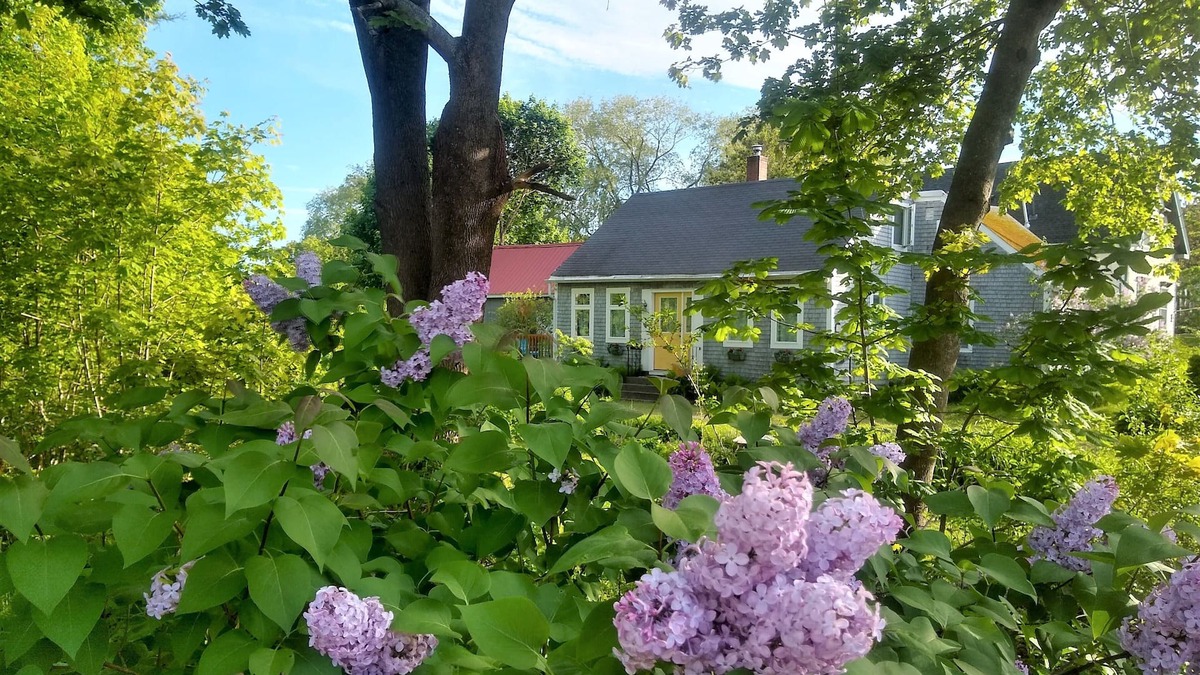 Rockland Cottage | The Perch - Walk to Town & the Ocean - Rockland License STR25-53