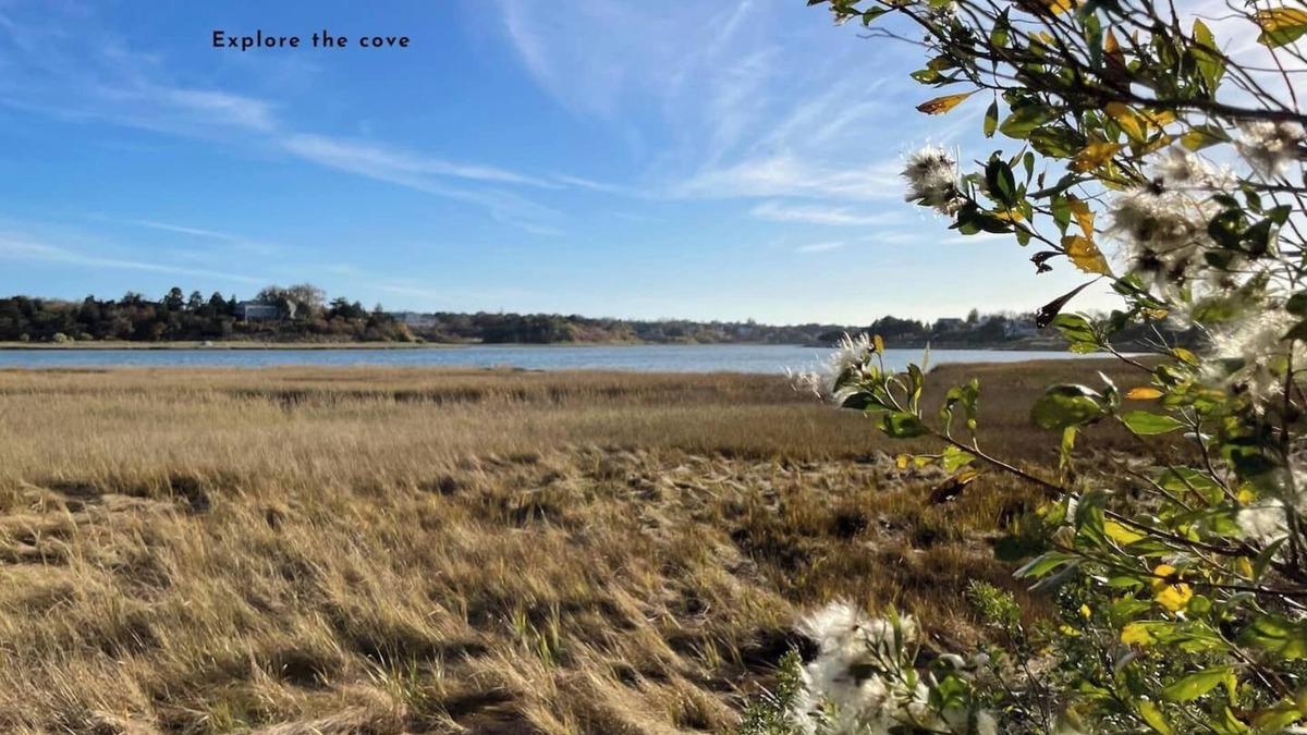 Eastham House | The Pet-Friendly Surf Shack Hideaway on the Cove