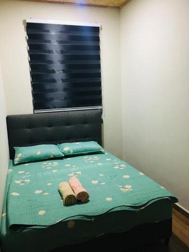 Kampung Semut Api House | The Pines Home Stay