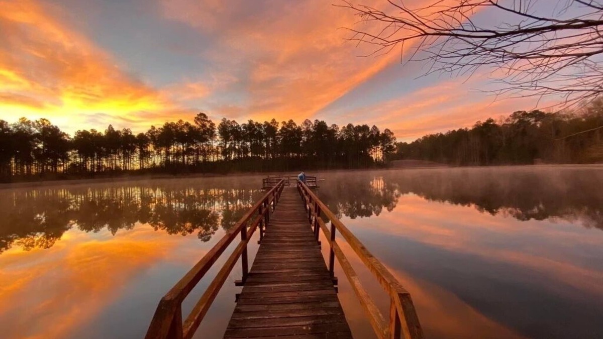 Rockledge House | “The Pines Homestead” Secluded Retreat Home with its own five acre lake.