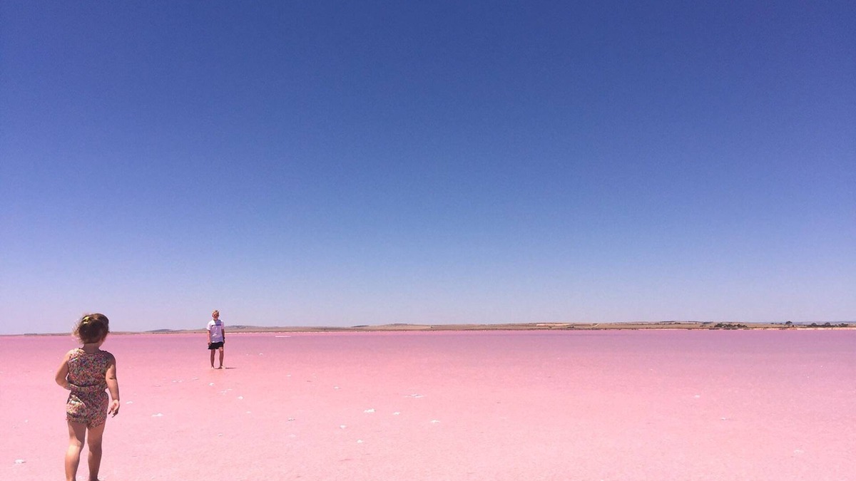 Cameron Cabin | The Pink Lake Tiny House - 'Sakura' - Lake Bumbunga (Lochiel)
