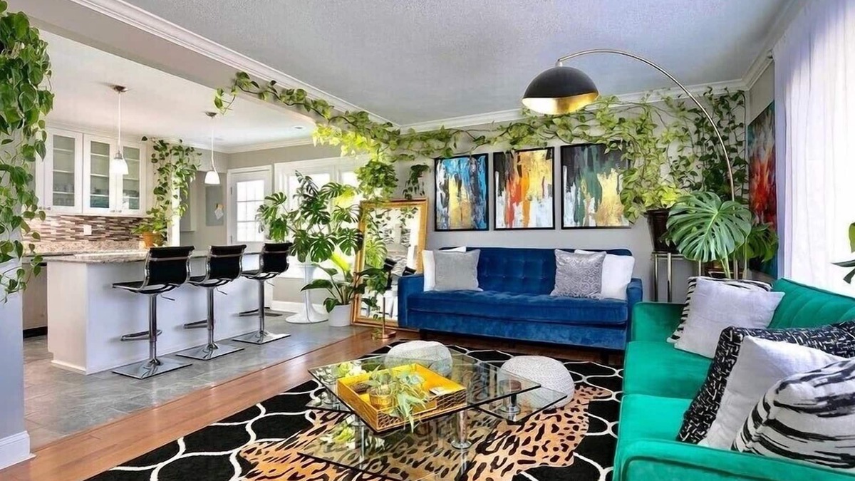 St. Louis House | THE PLANT SANCTUARY 🌱