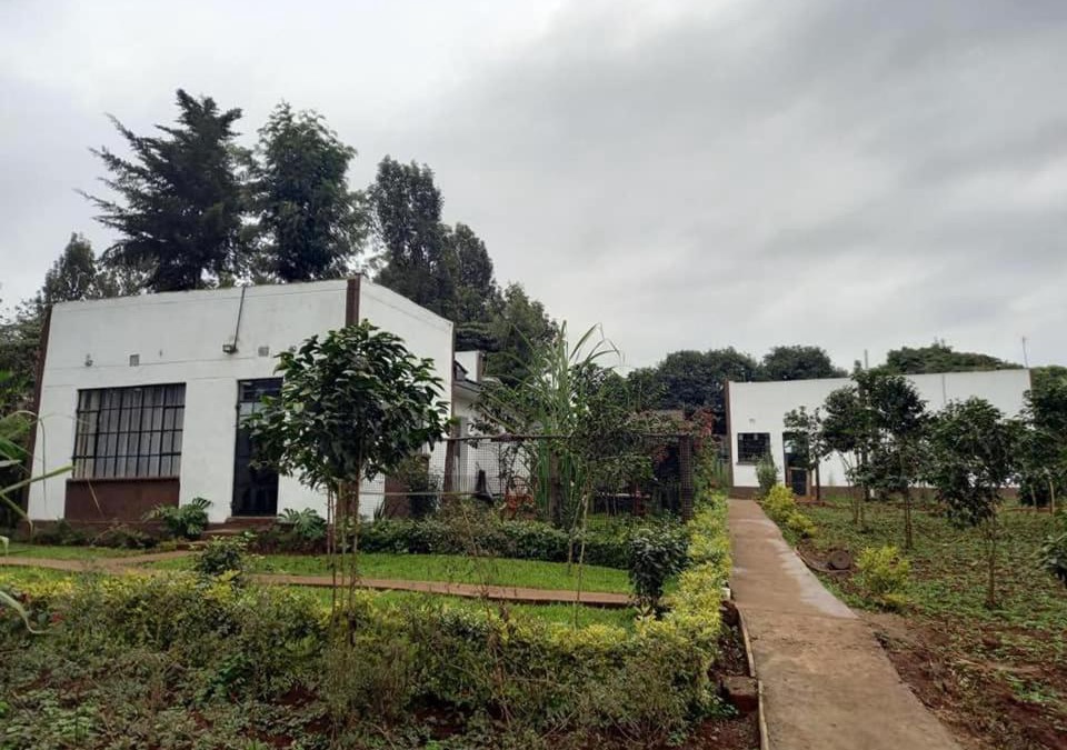 Kerugoya Bed & Breakfast | THE PLANTAINS PLACE