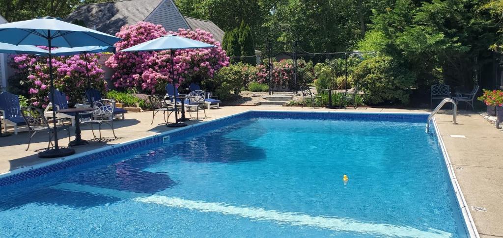 West Harwich Bed & Breakfast | The Platinum Pebble Boutique Inn - Adults Only Property