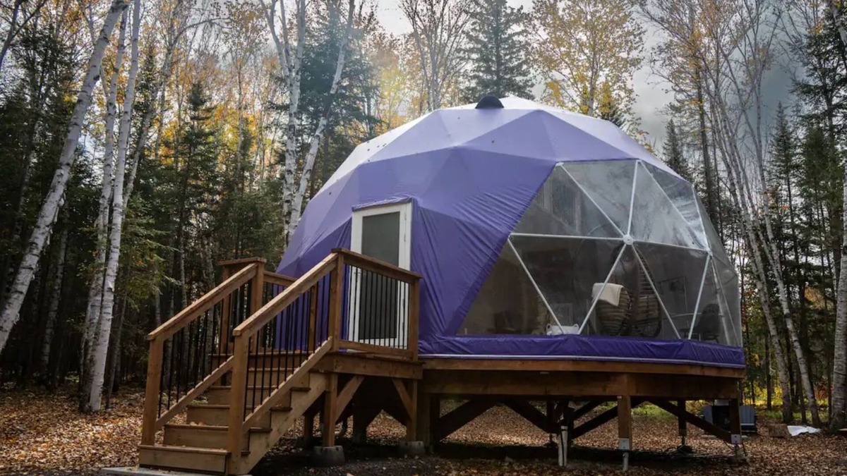 Queens County Cabin | The Purple Violet