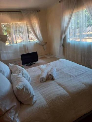 Livingstone Apartment | The Quaint Cottage