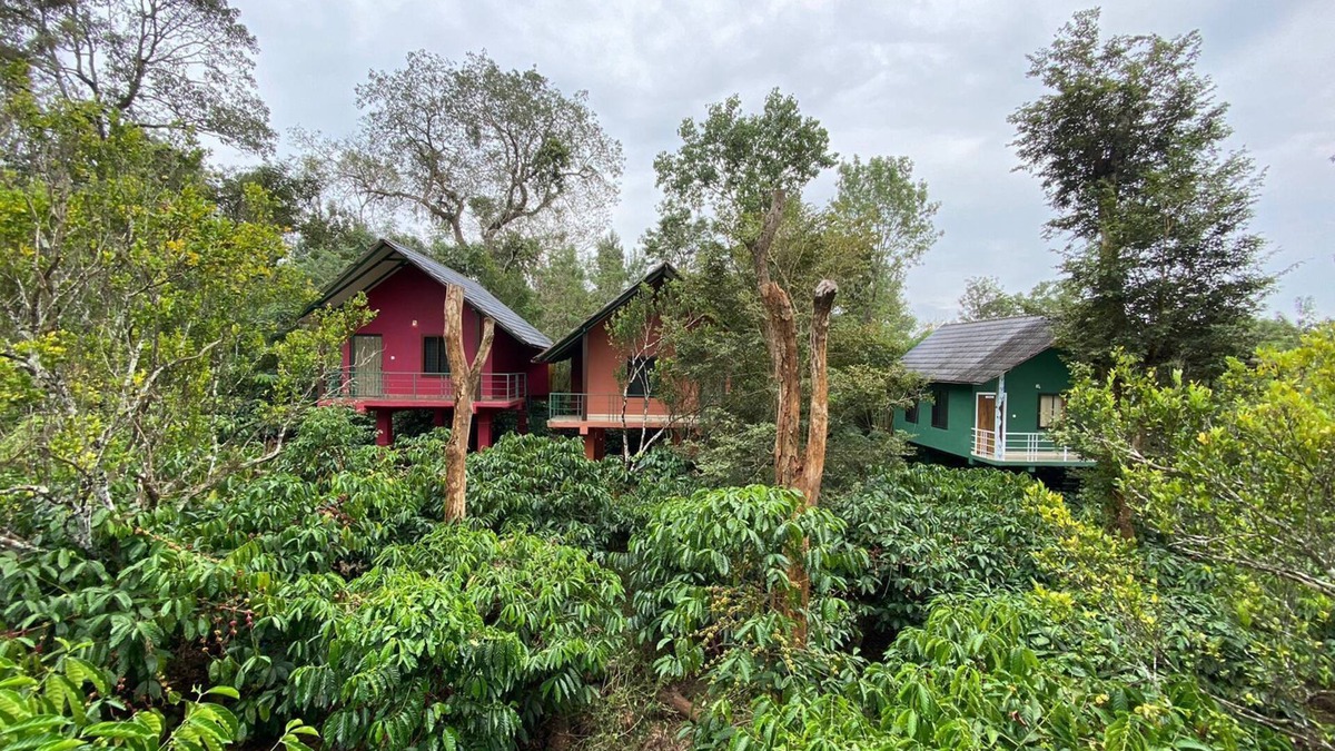 Kaimane Resort | The Rain Tree Resort