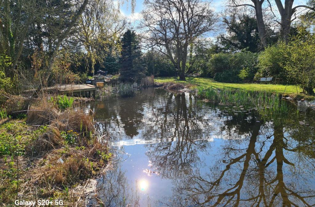 Aldermaston Wharf Apartment | The Reading chalet with gardens and koi pond