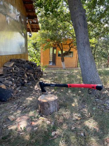 Vladeni Other | The Realm of Abundance Cottage