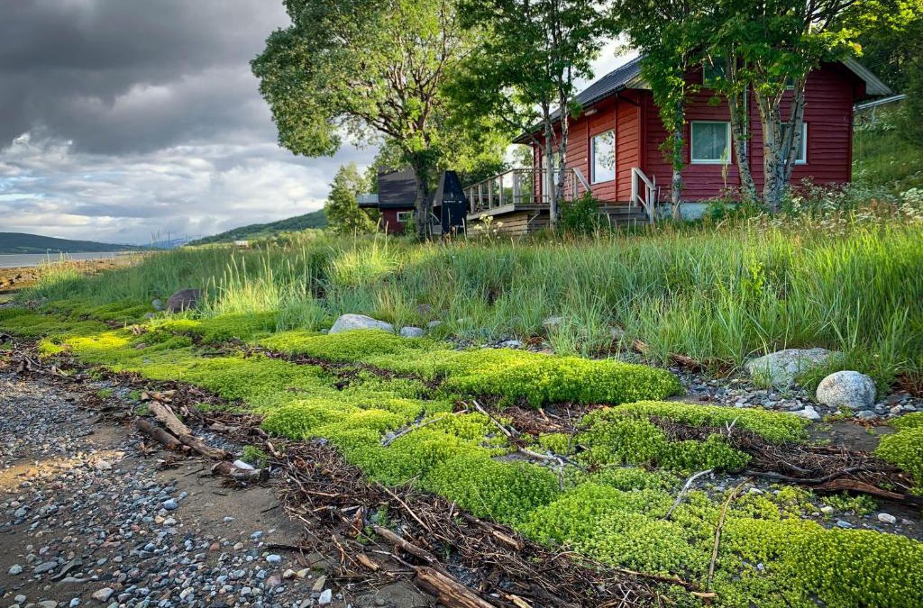 Laukeng House | The Red Fjordhouse