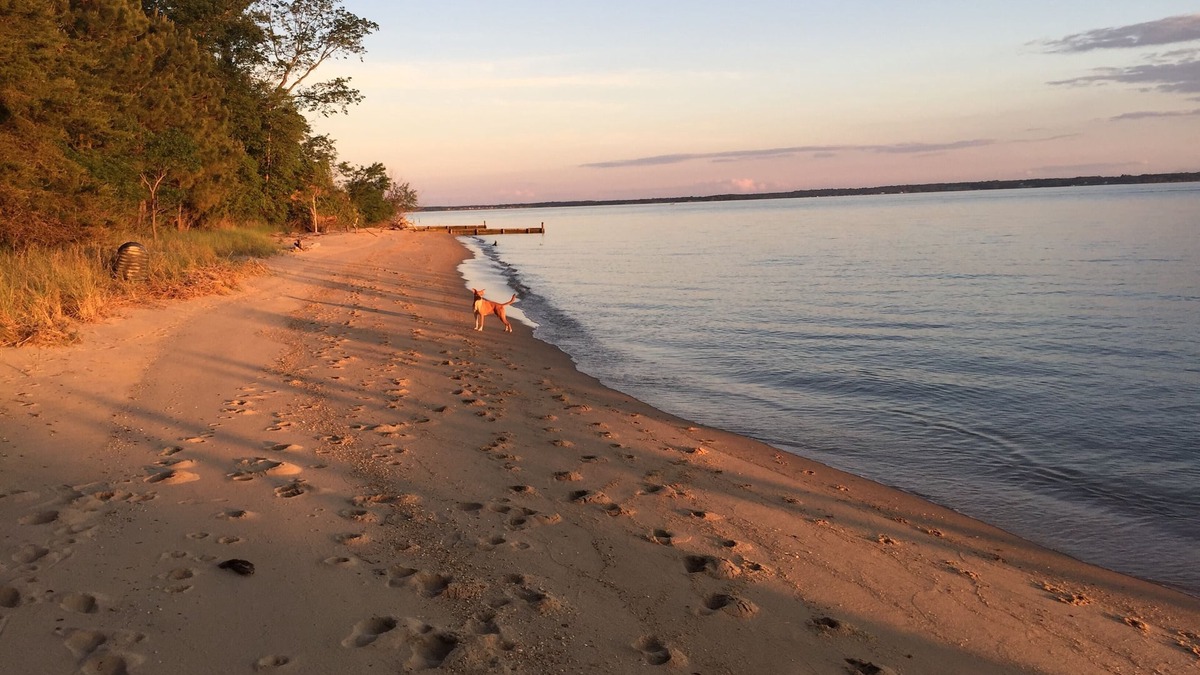 White Stone House | The River House at Whitestone: Pet Friendly, Secluded Private Beach, w/Kayaks!