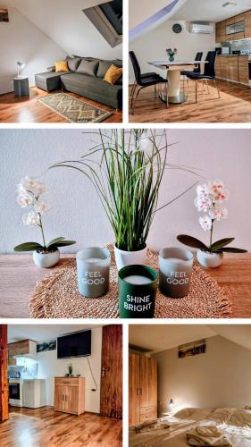 Dravograd Apartment | The RIVER