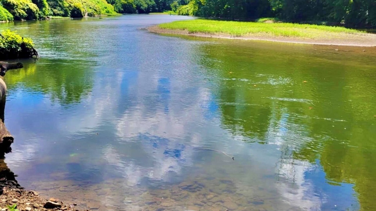 Mc Carr House | The Riverbend Retreat, Matewan WV! Riverfront Views -Adventure Awaits!