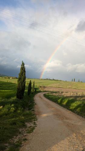 Monteroni d'Arbia House | The Rose