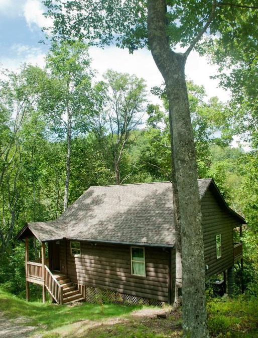 Topton House | The Sassafras Breeze
