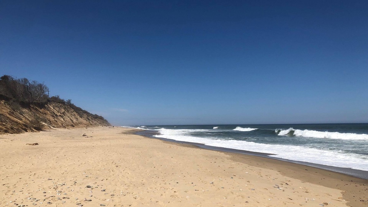 Eastham House | The Seagrove Suites & Guest Rooms