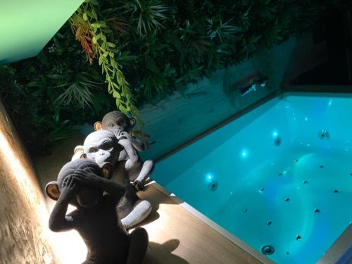 Altkirch Hotel | The Secrets Jungle