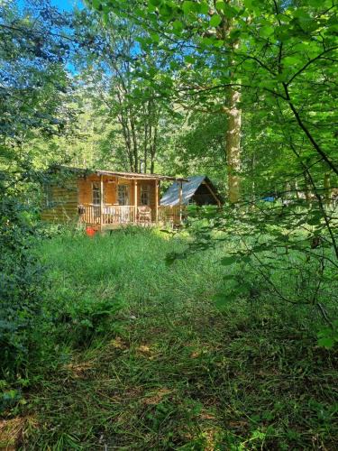 Redditch Other | The Shack in the Woods