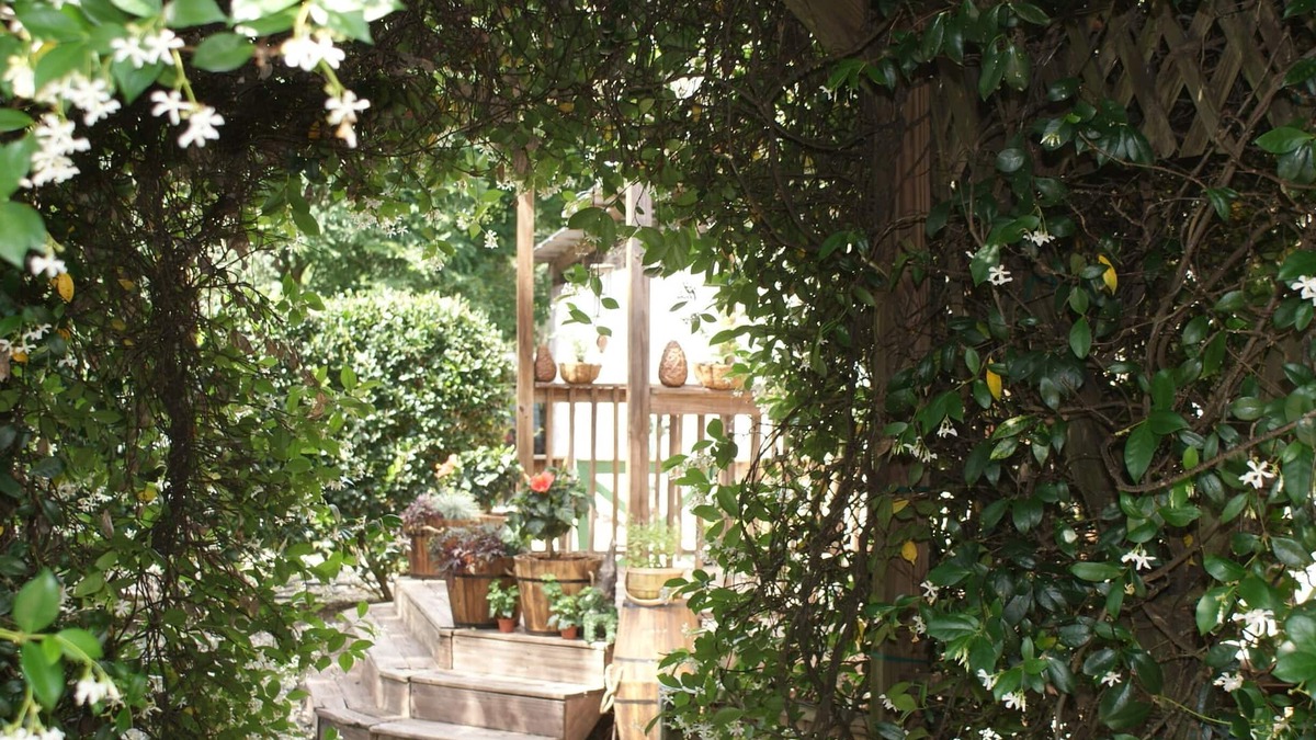 Brooksville Cottage | The Shebeen A small Irish cottage,come experience the enchantment and trnquility
